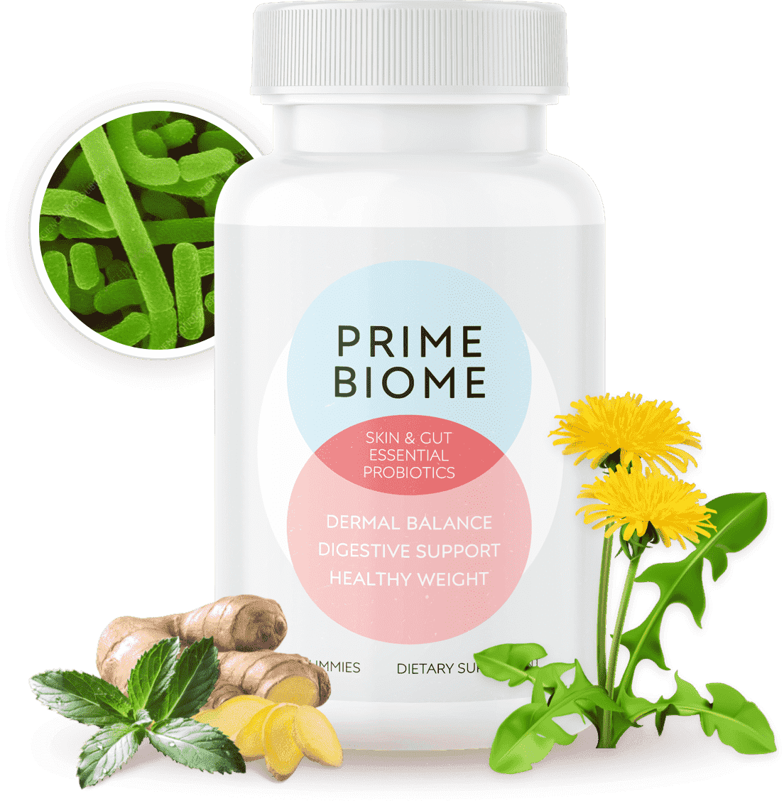 prime-biome-banner